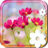Spring Flowers Live Wallpaper icon