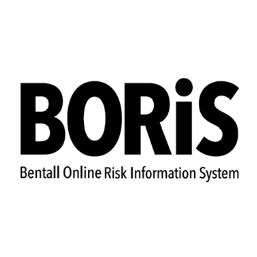 Boris Mobile logo