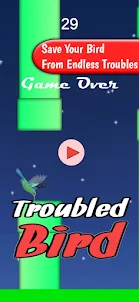 Troubled Bird