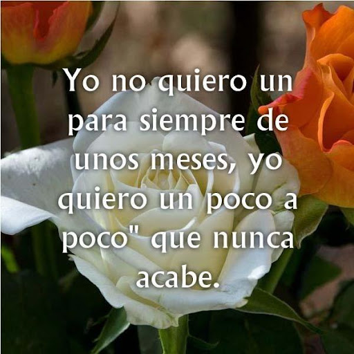 Imagenes Para Enamorar