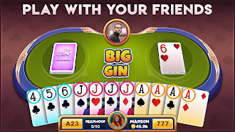 Game screenshot Gin Rummy Offline Classic Game apk download