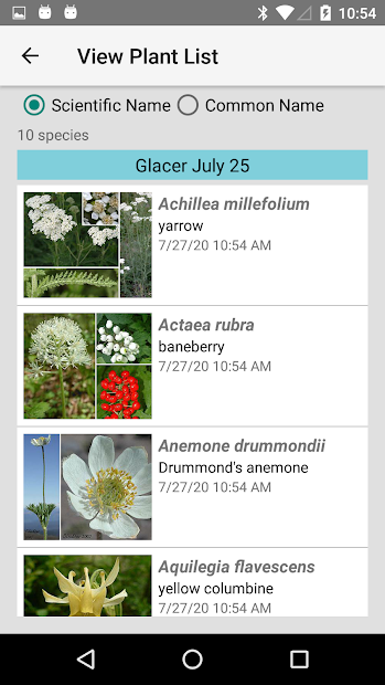Captura de Pantalla 9 Glacier NP Wildflowers android