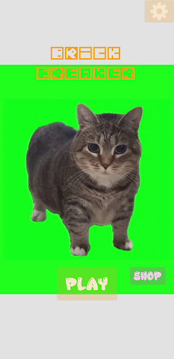 Oiia Spinning Cat Breaker