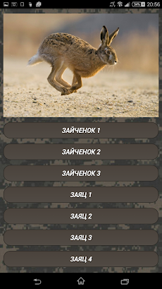 捕食者狩猟はProを呼びます：コヨーテ、キツネ、オオカミの音のおすすめ画像1