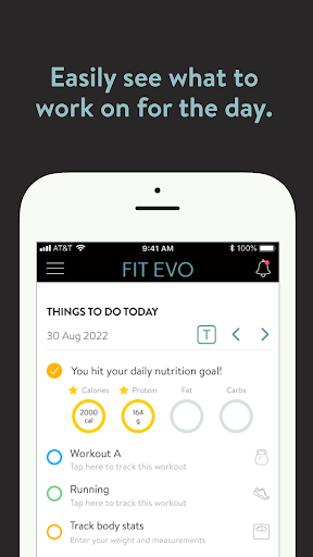 Screenshot of Fit Evo Online
