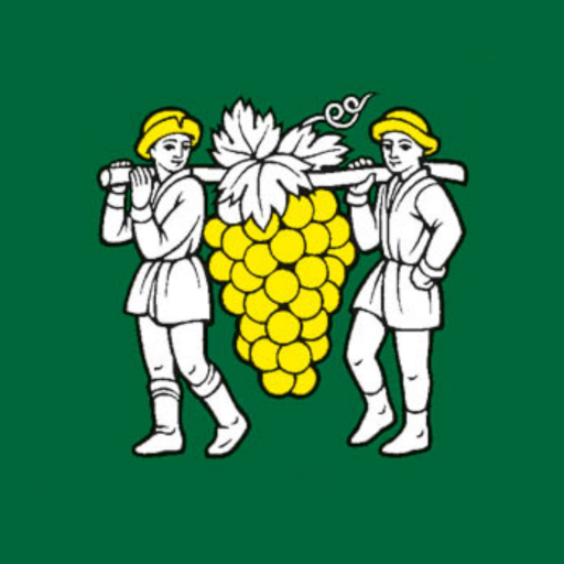 Krškany logo