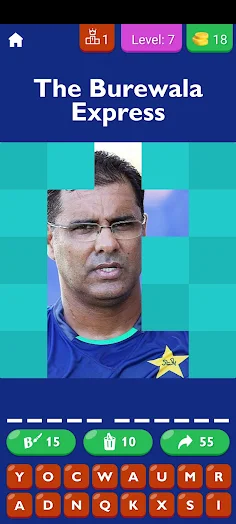 World Cricket Champions - Screenshot 4