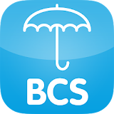 BCS icon