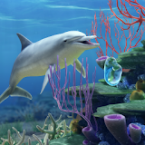 Dolphin CoralReef icon