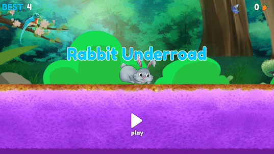 Rabbit Underroad