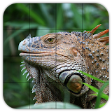 Tile Puzzles · Reptiles icon