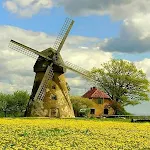 Cover Image of Download Windmill Wallpaper  APK