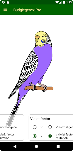 Android application Budgiegenex Pro screenshort