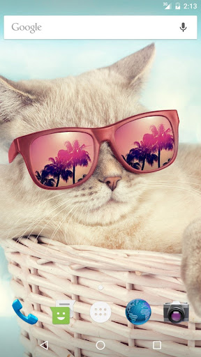 Wallpapers Kitty Screen 3