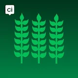Castricum App icon
