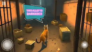 Hide and Go Seek! Cat Hunt 3d - Screenshot 3