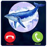 Call From Blue Whale & Challenge Prank icon