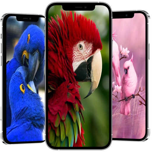 cute birds wallpaper Download on Windows