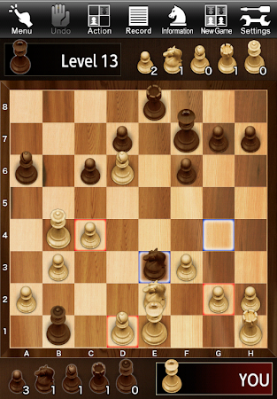 Game screenshot The Chess - Crazy Bishop - mod apk