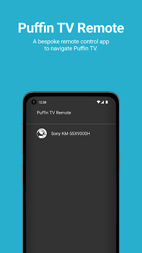 Screenshot of Puffin TV Remote