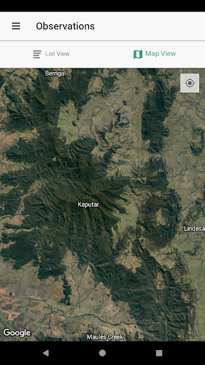 Slug Sleuth - Mt Kaputar (NSW) Screen 3