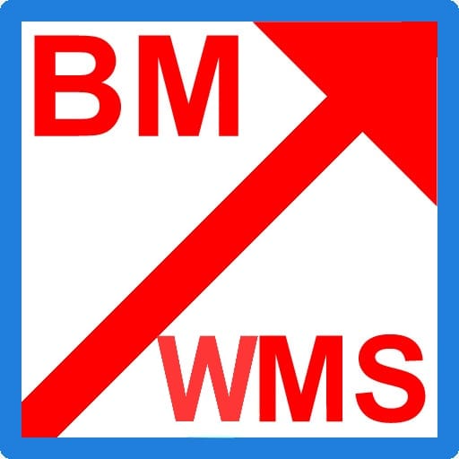 GEO BM-WMS logo
