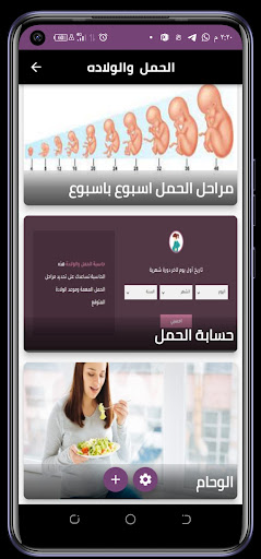 الحمل لحظه بلحظه