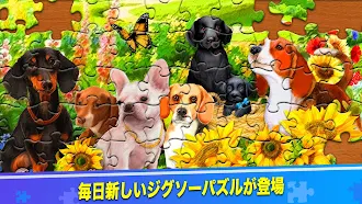 Game screenshot ColorPlanet ジグソーパズル hack