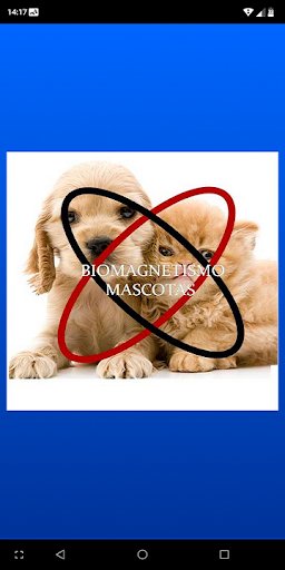 Biomagnetismo Mascotas Parte I