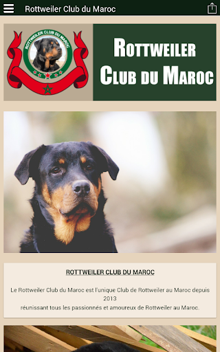 Rottweiler Club du Maroc
