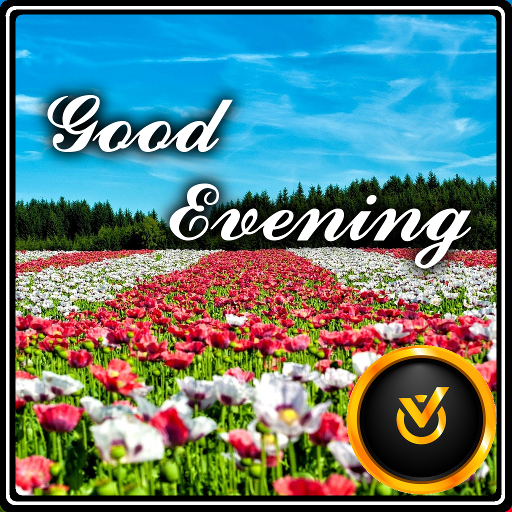 Good Evening Images Flowers