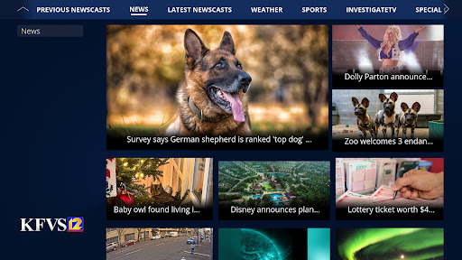 Screenshot of KFVS12 - Heartland News