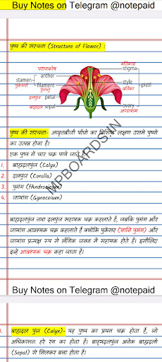 Android application Biology Class 12 Notes Hindi screenshort
