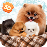 Pomeranian Dog Simulator 3D icon