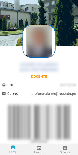 ISur Docentes Screen 2