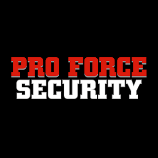 Pro-Force Security