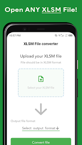 XLSM File Opener Reader Editor Unknown