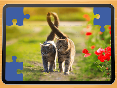 Cute cat puzzle game