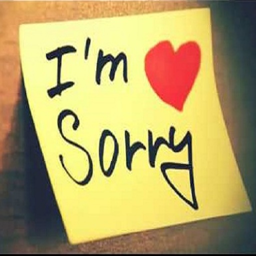 I Am Sorry Quotes Apology msg Screen 2
