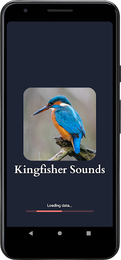 Android application Kingfisher Sounds screenshort