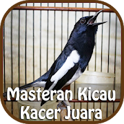 Top 36 Music & Audio Apps Like Masteran Kicau Kacer Juara - Best Alternatives