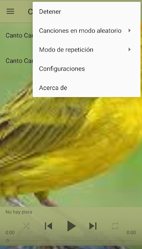 canary Screen 2