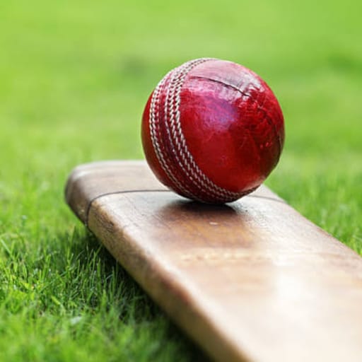 Live IPL 2024: Live Cricket Tv icon