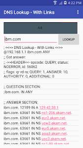 DNS Lookup - With Links Unknown