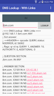 DNS Lookup - With Links Screenshot