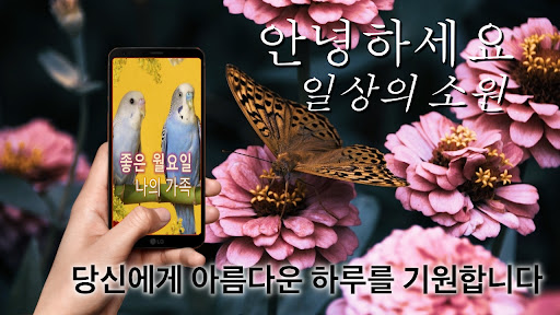 Korean Good Morning Everyday Screen 3