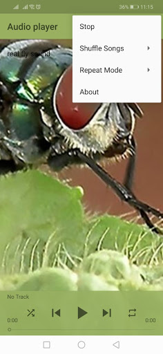 real fly sound prank offline