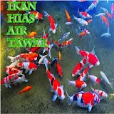 Ikan Hias Air Tawar icon