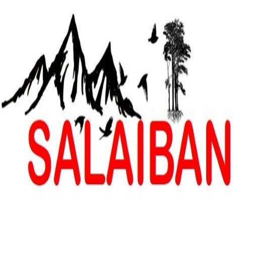 Talking Salaiban logo