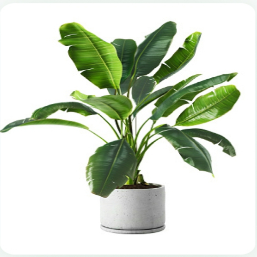 plant disease identifier logo